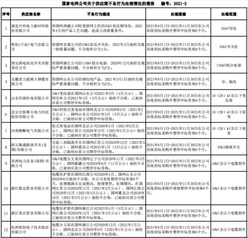 國(guó)家電網(wǎng)公司2021年6月供應(yīng)商不良行為處理情況通報(bào) 聚焦數(shù)據(jù)處理服務(wù)領(lǐng)域